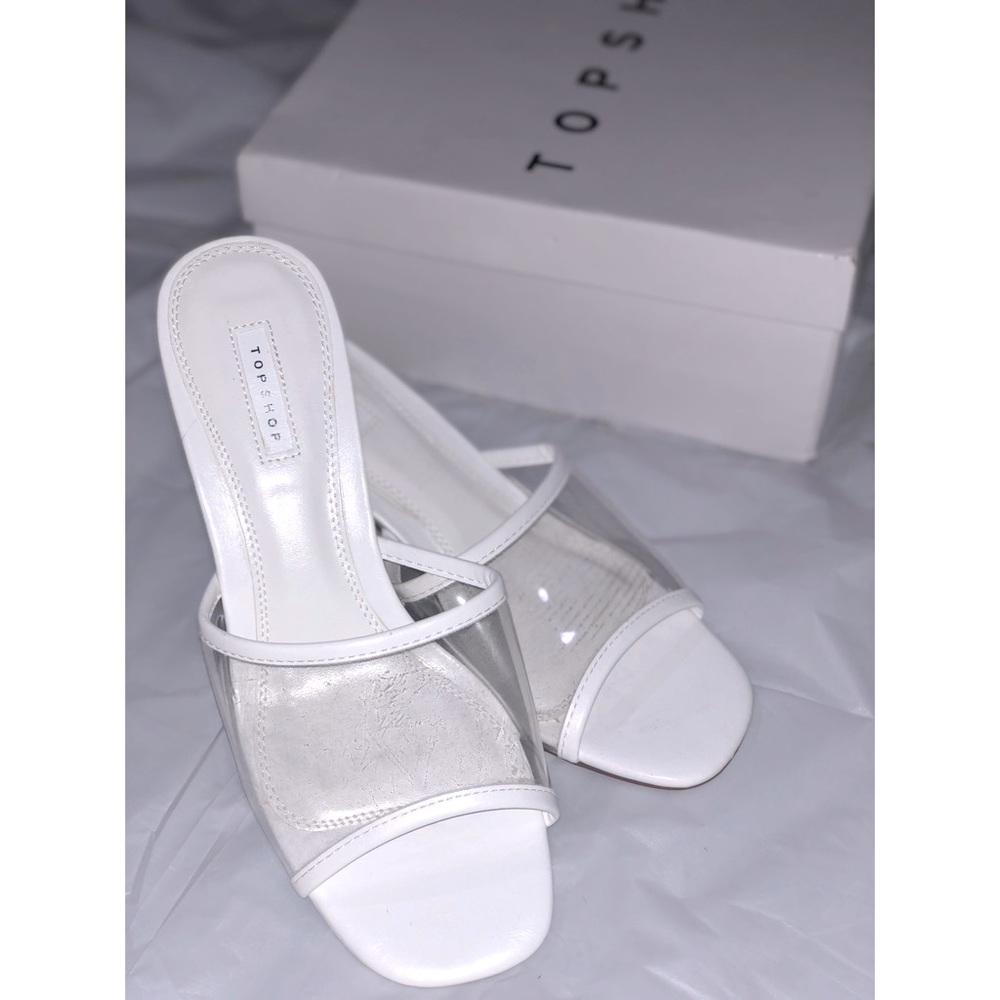 DUSTY Transparent Mule
